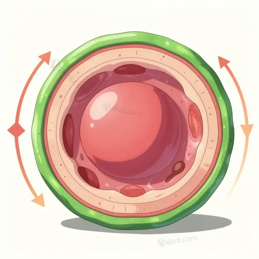 auxesis