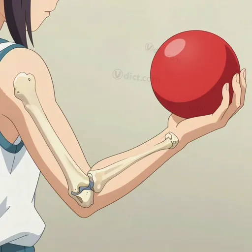 elbow joint