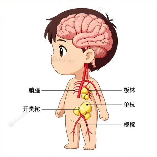 endocrine