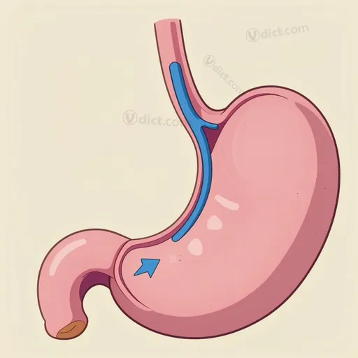 gastric vein