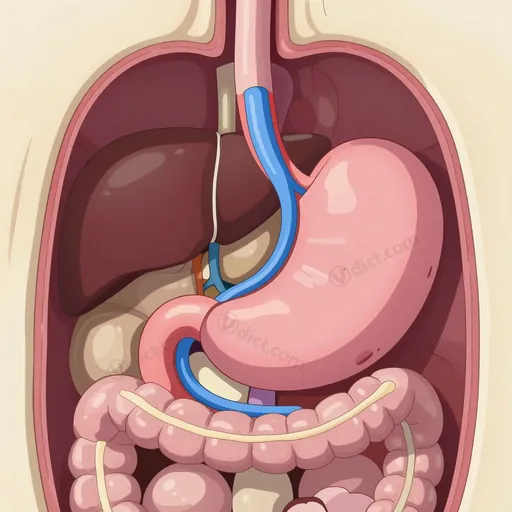 gastroepiploic vein