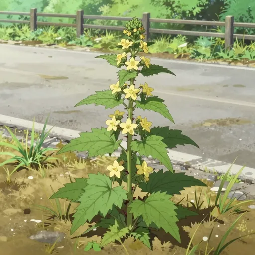 horse nettle