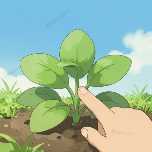 humble plant