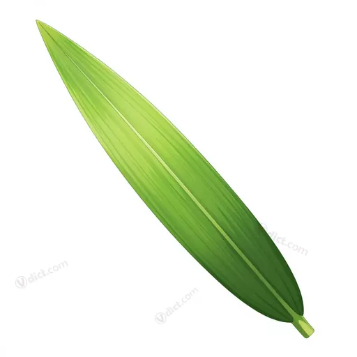 leaf blade