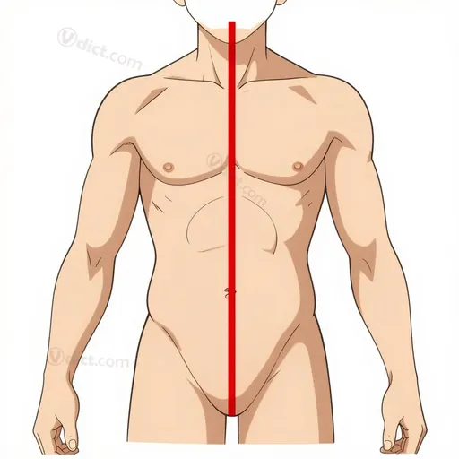 medial