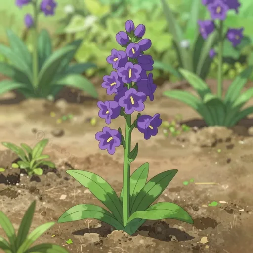 pine hyacinth