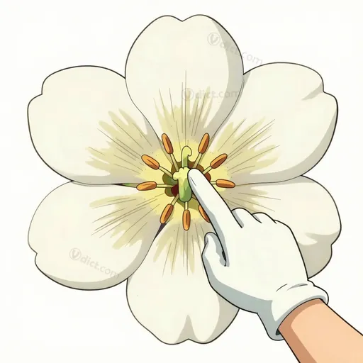 pistillode
