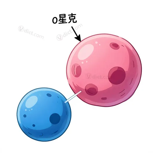 polar body