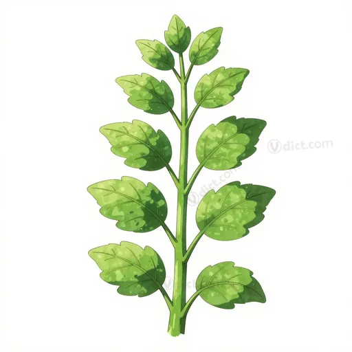polyphyllous
