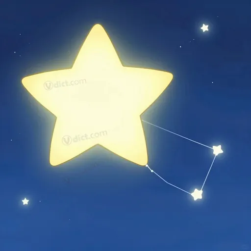 procyon
