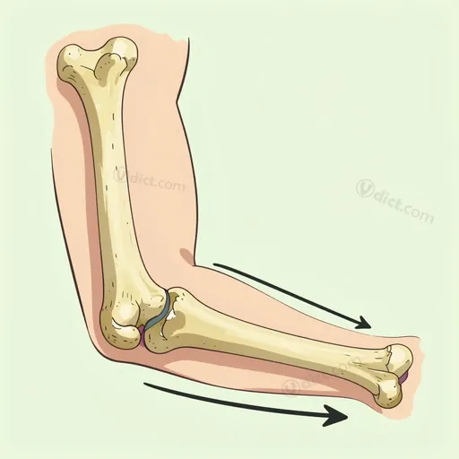 rotatory joint