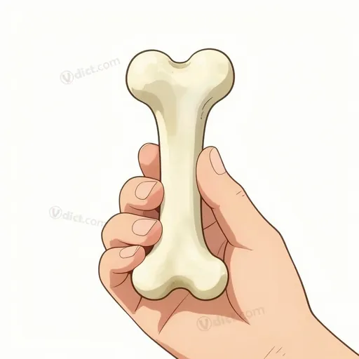 short bone