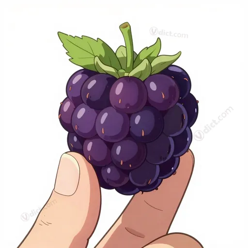 syncarp