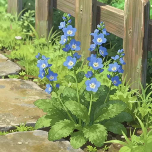 veronica officinalis