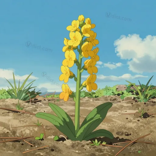 yellow milkwort