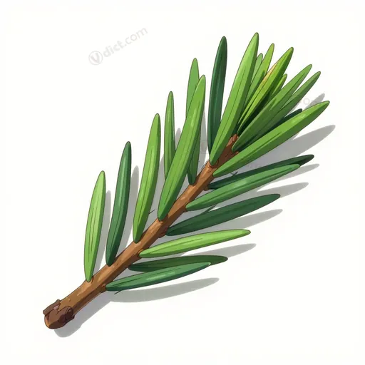 aculéiforme