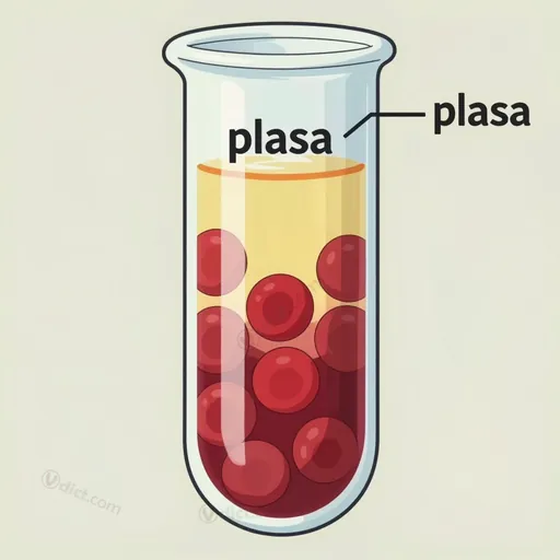 plasma