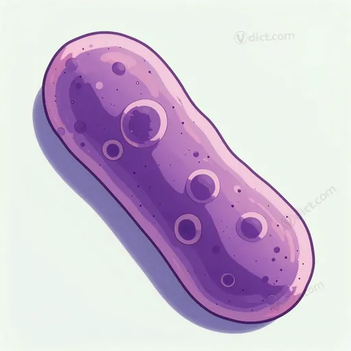 rickettsie