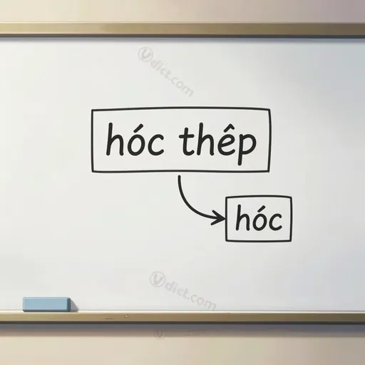 gốc từ